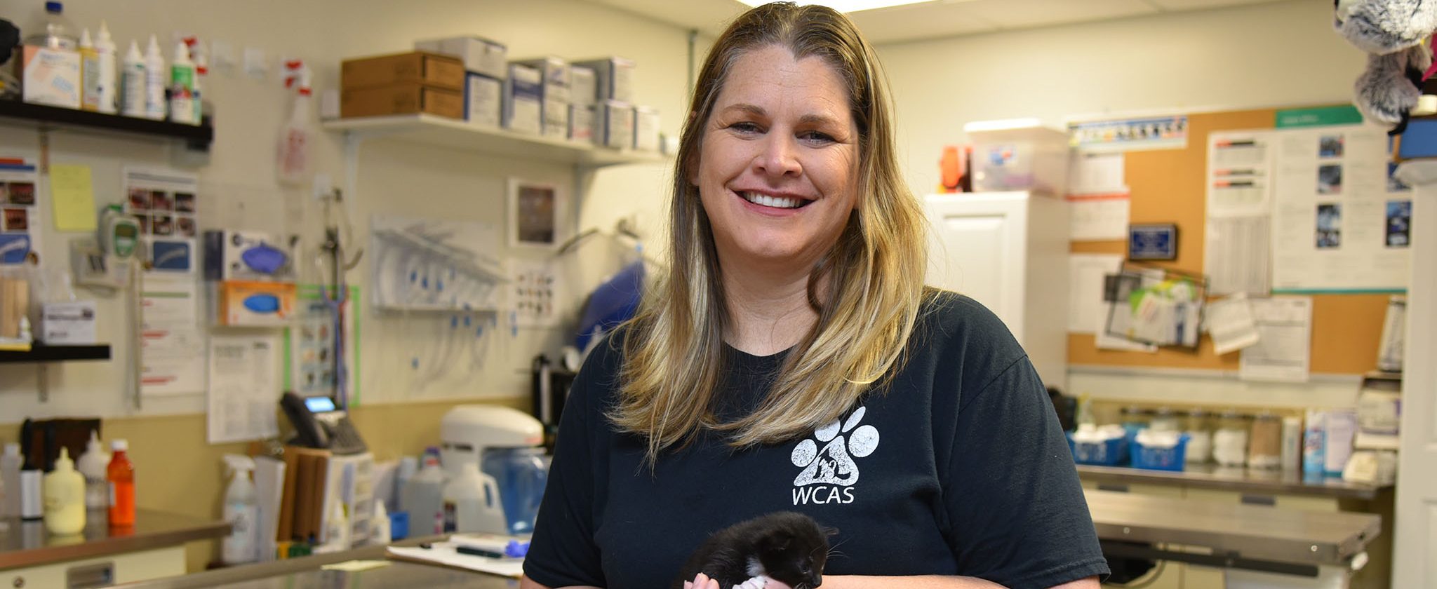 Vet tech holding kitten